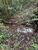 Terreno, 3 hectares - Foto 1