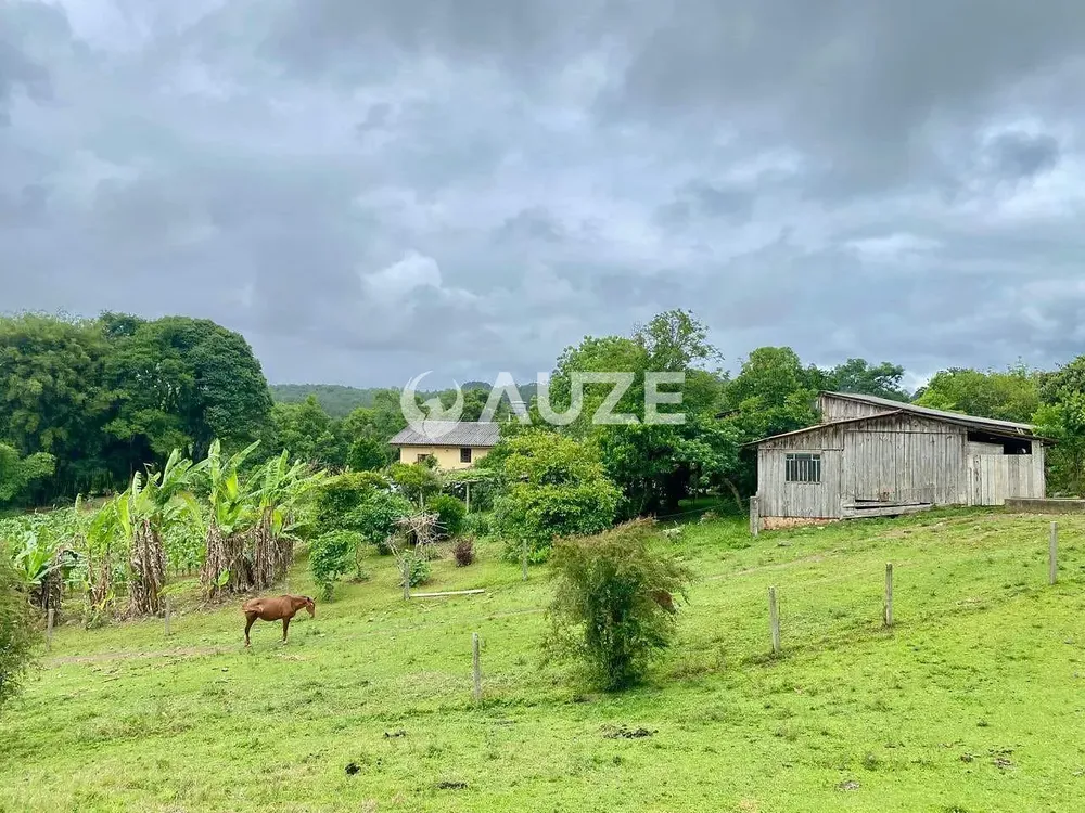 Chácara, 3 quartos, 7 hectares - Foto 3