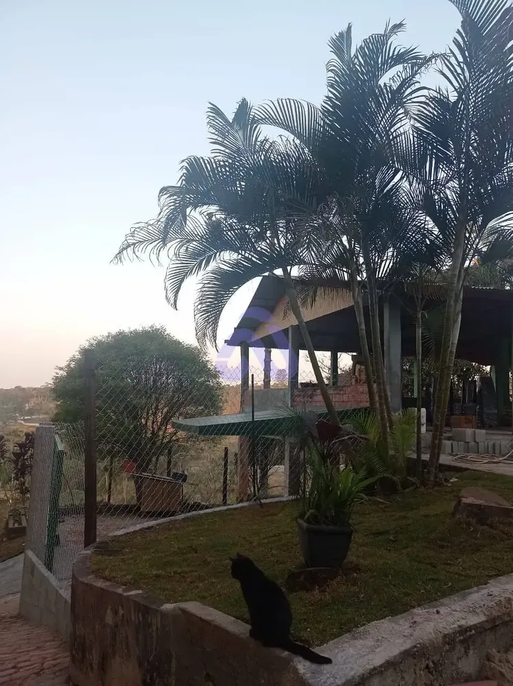 Sítio, 4 quartos, 1200 m² - Foto 3