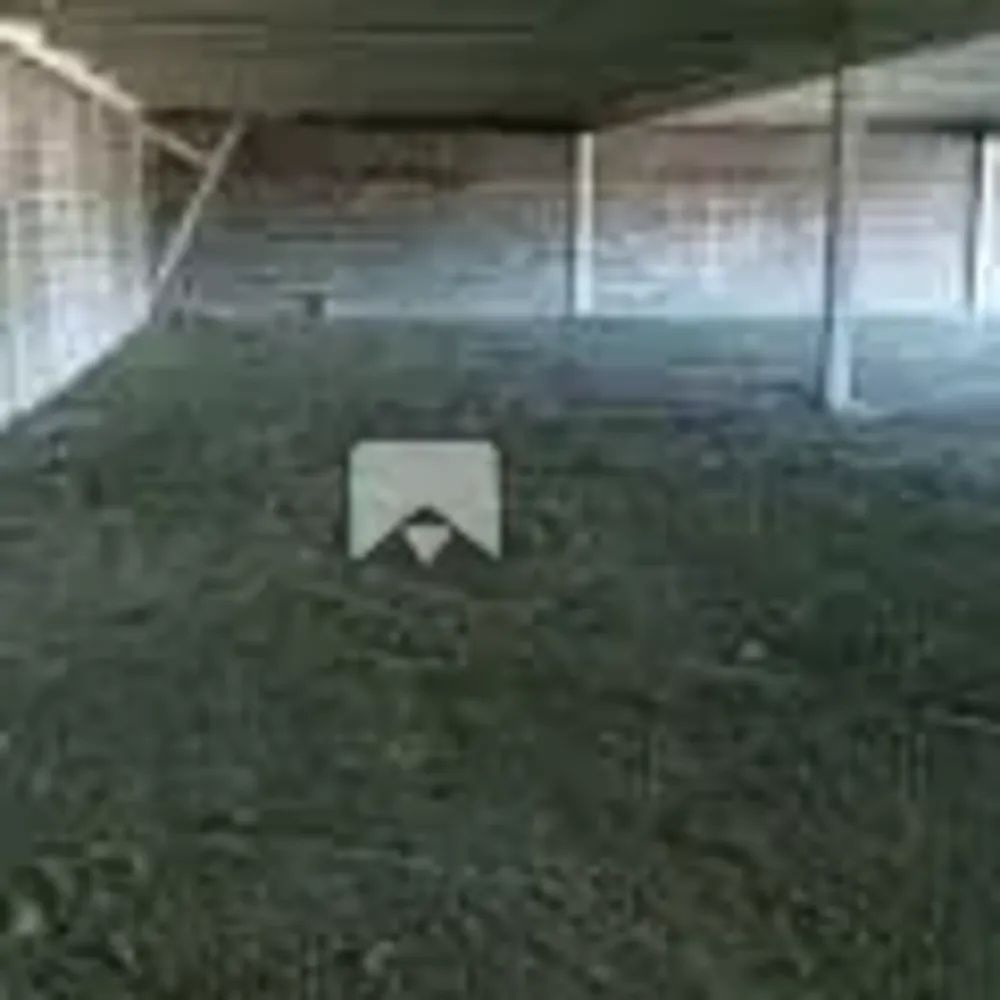 Loja-Salão, 600 m² - Foto 9