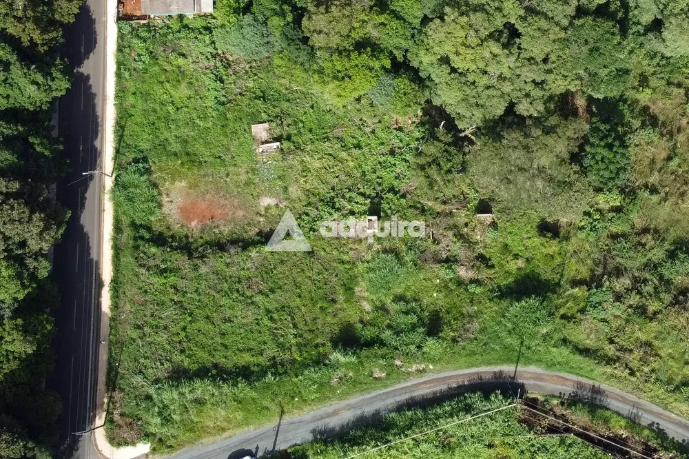 Terreno, 4324 m² - Foto 2