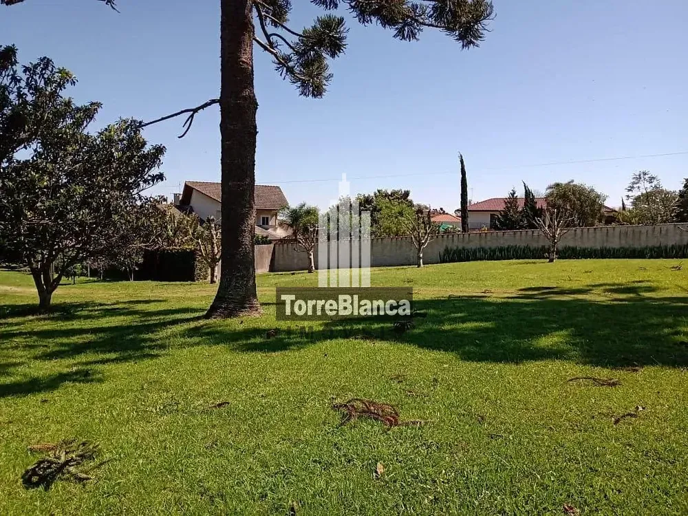 Terreno, 1000 m² - Foto 4