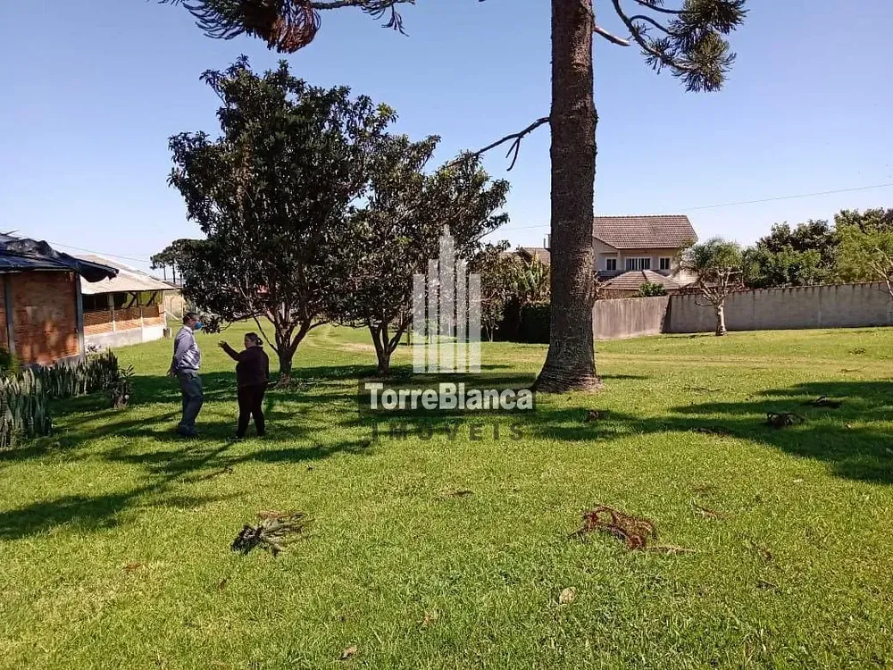 Terreno, 1000 m² - Foto 5