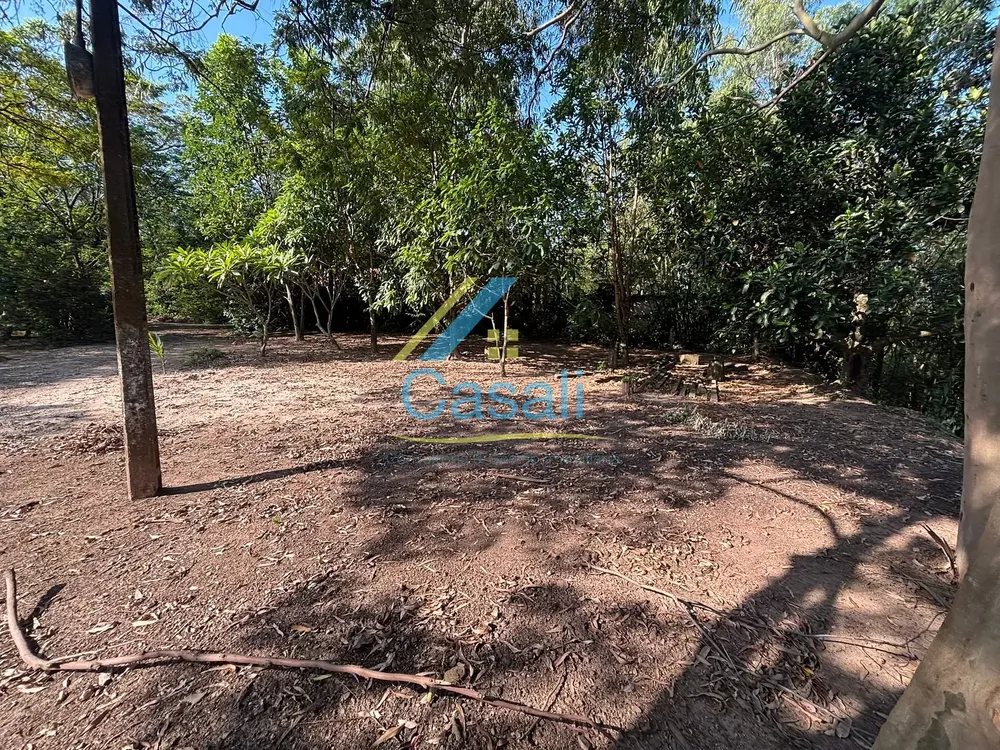 Chácara, 4 quartos, 10000 m² - Foto 6