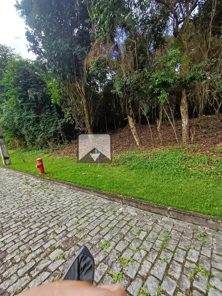 Terreno, 4 hectares - Foto 34