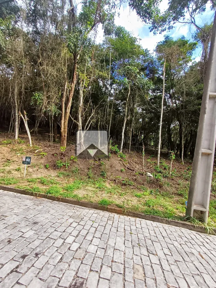 Terreno, 4 hectares - Foto 36