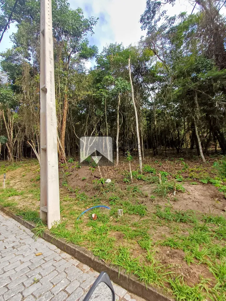 Terreno, 4 hectares - Foto 41