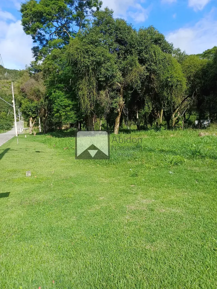 Terreno, 4 hectares - Foto 2