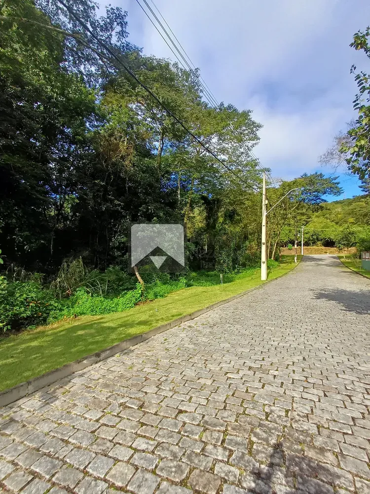 Terreno, 4 hectares - Foto 30