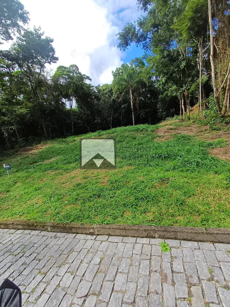 Terreno, 4 hectares - Foto 33