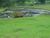 Fazenda, 101 hectares - Foto 4
