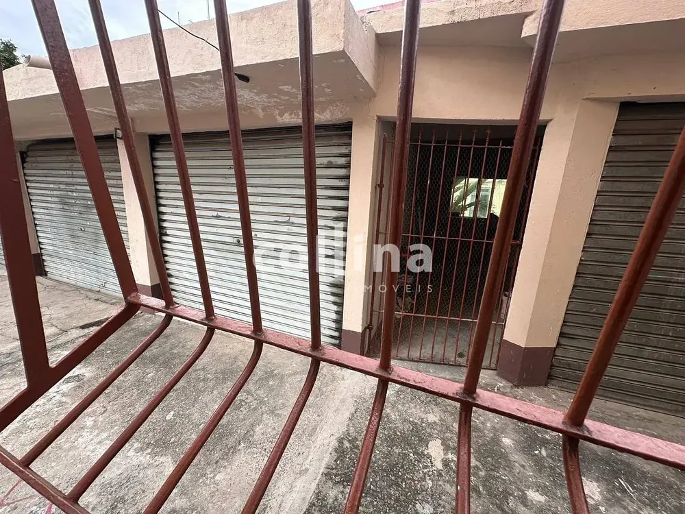Apartamento, 2 quartos, 52 m² - Foto 7