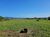 Terreno, 7 hectares - Foto 4