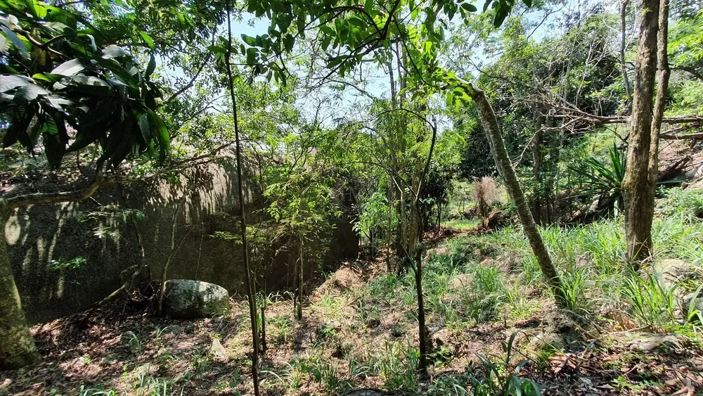 Terreno, 15 hectares - Foto 6