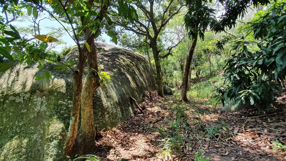Terreno, 15 hectares - Foto 7