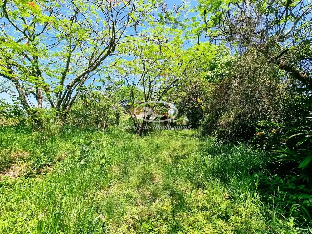 Terreno, 1 hectares - Foto 3