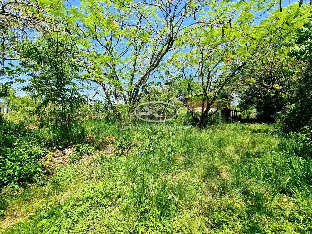 Terreno, 1 hectares - Foto 7