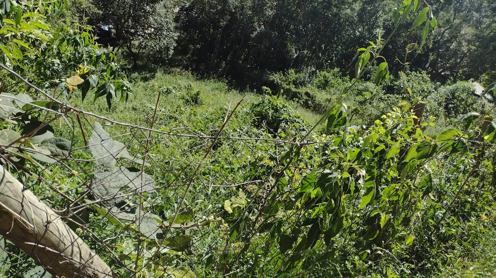 Terreno, 1050 m² - Foto 4