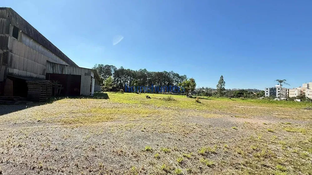 Depósito-Galpão, 2541 m² - Foto 4