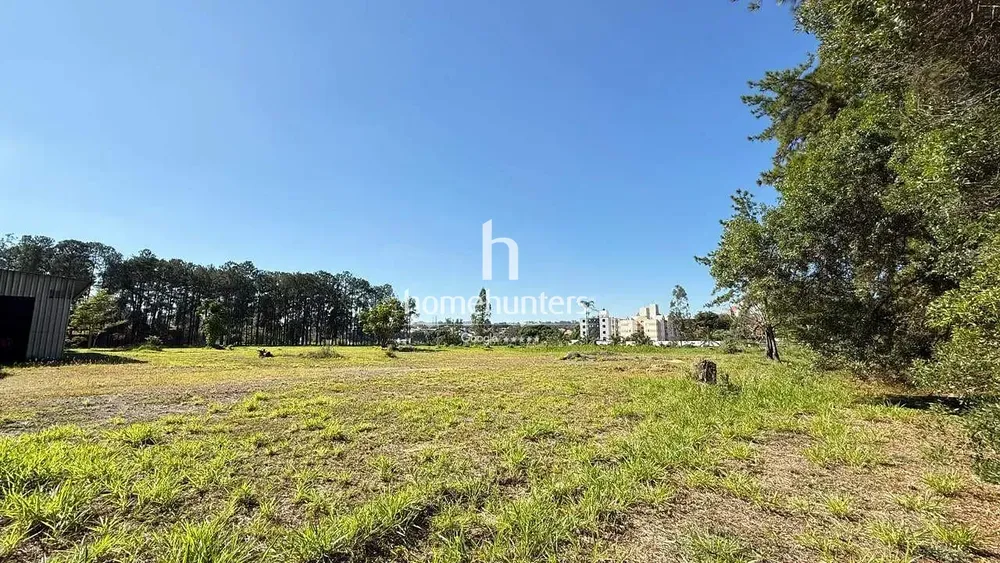 Depósito-Galpão, 2541 m² - Foto 5