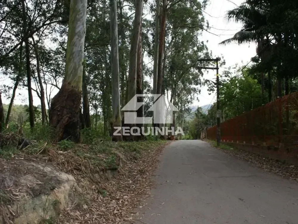 Chácara, 4 quartos, 2000 m² - Foto 4