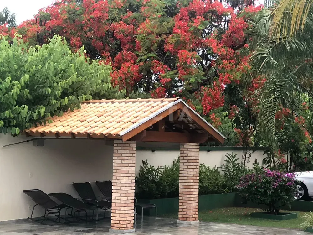 Sítio, 3 quartos, 1200 m² - Foto 3