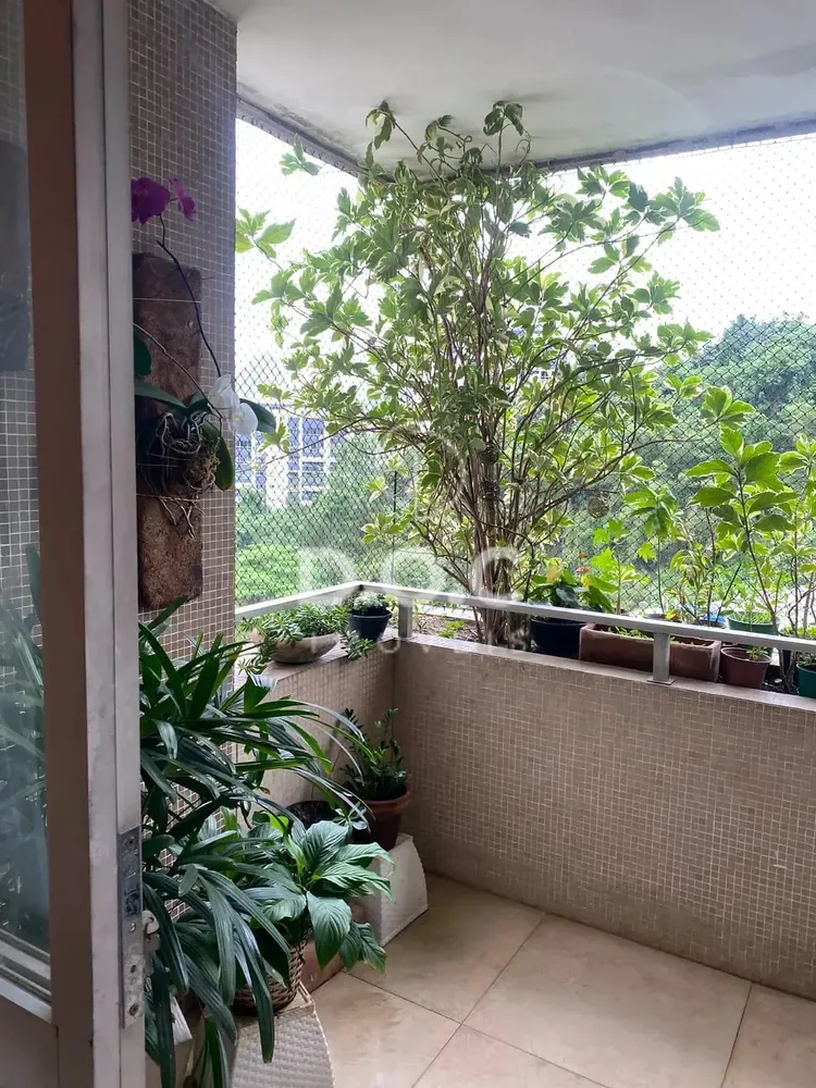 Apartamento, 3 quartos, 90 m² - Foto 8