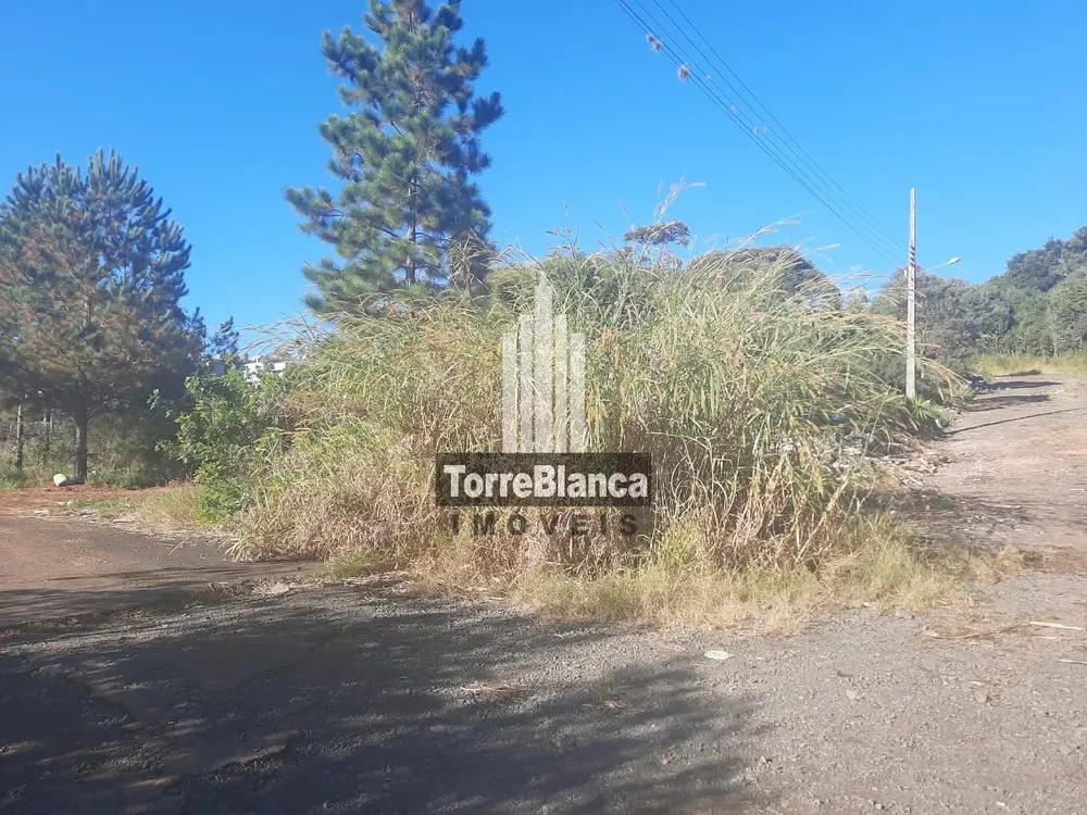 Terreno, 522 m² - Foto 1