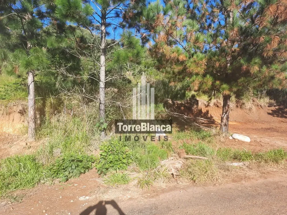 Terreno, 522 m² - Foto 2