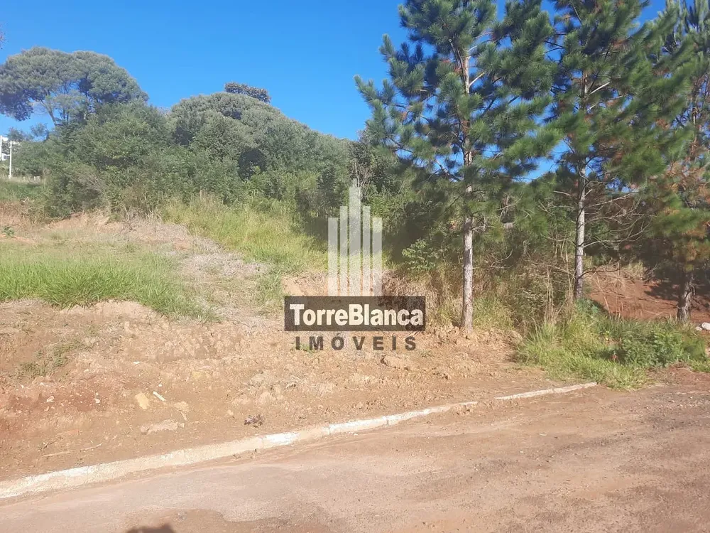 Terreno, 522 m² - Foto 4