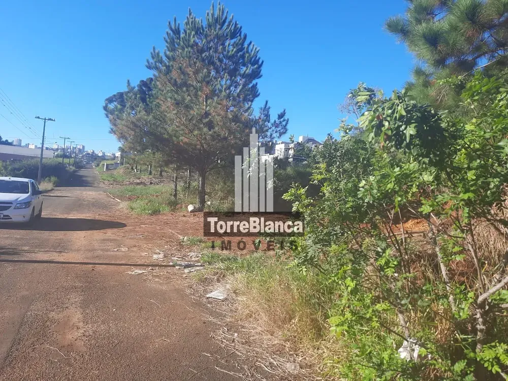 Terreno, 522 m² - Foto 3