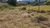 Terreno, 900 m² - Foto 4
