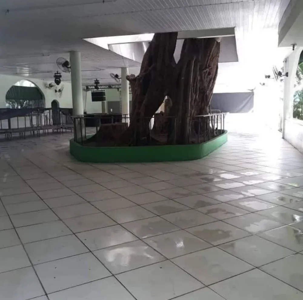 Loja-Salão, 450 m² - Foto 4