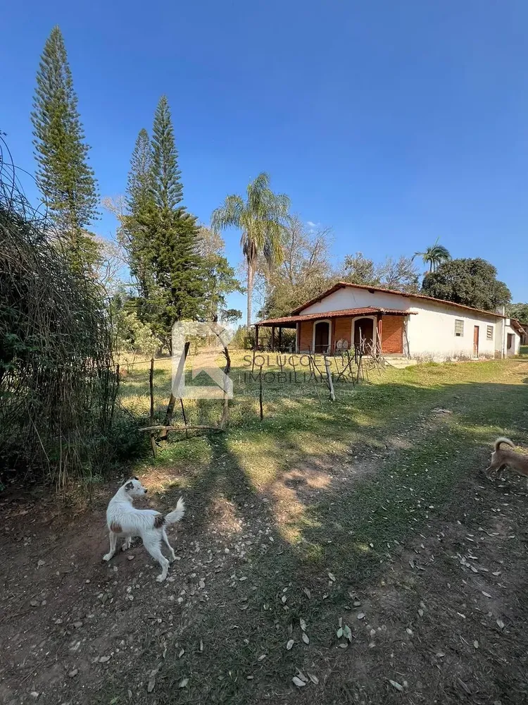 Terreno, 2 hectares - Foto 3