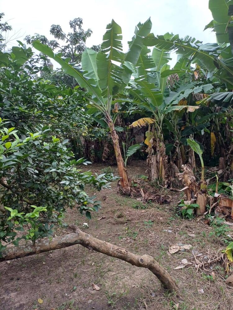 Terreno à venda, 10m² - Foto 3