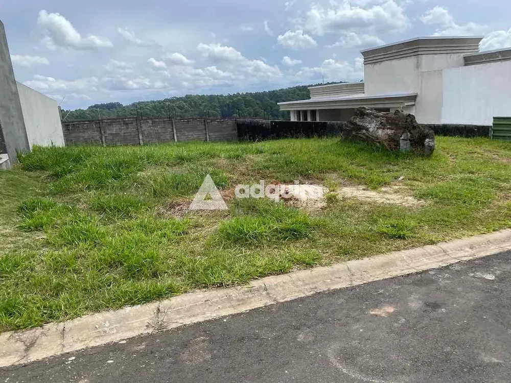 Terreno, 450 m² - Foto 4