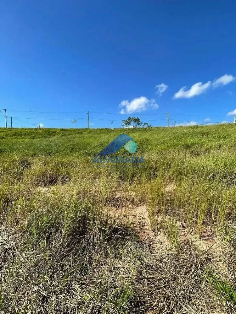 Terreno, 250 m² - Foto 1