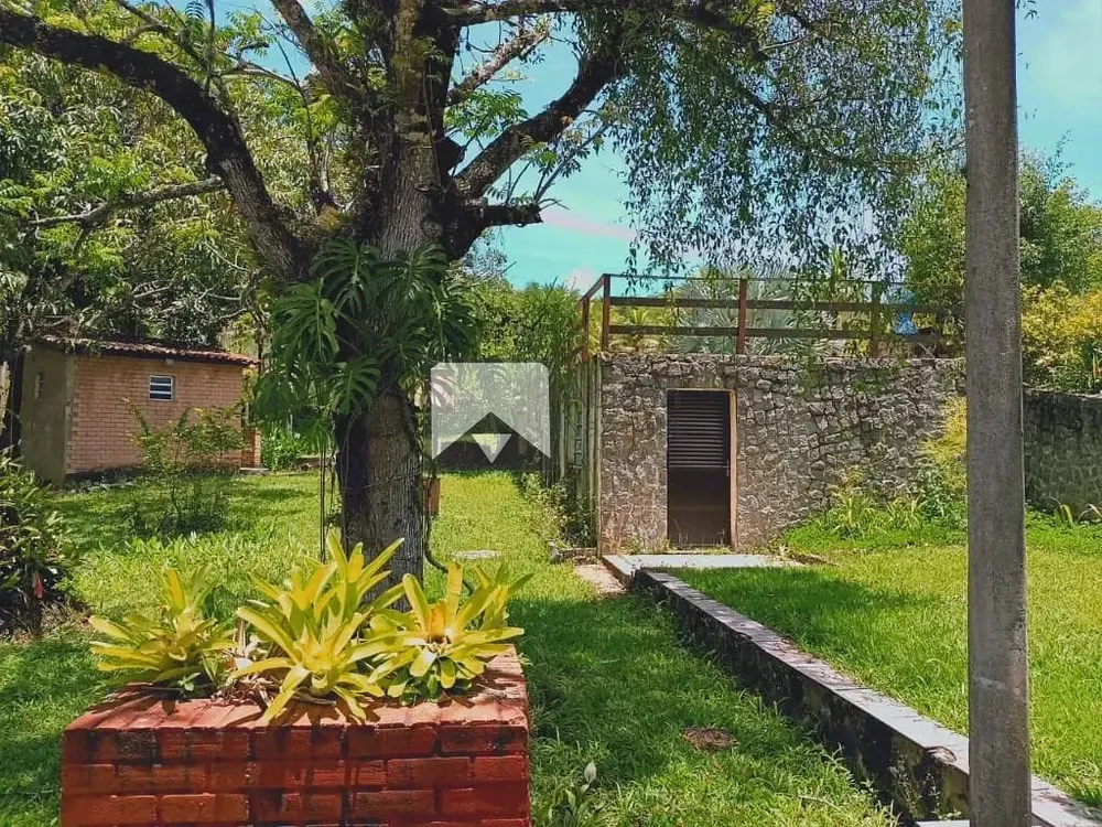 Sítio, 3 quartos, 110 m² - Foto 5