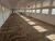Depósito-Galpão, 5400 m² - Foto 3