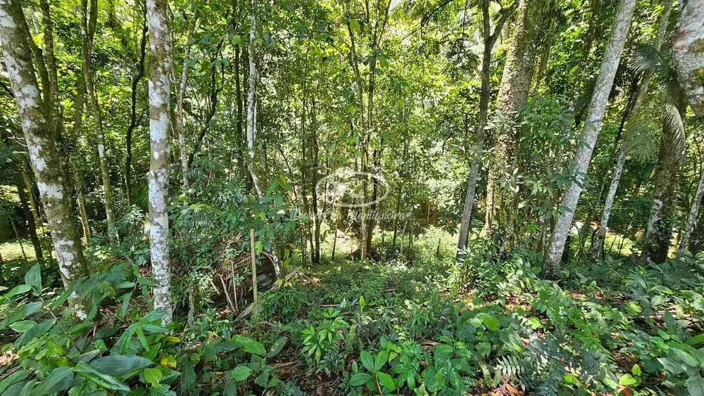 Terreno, 2300 m² - Foto 7