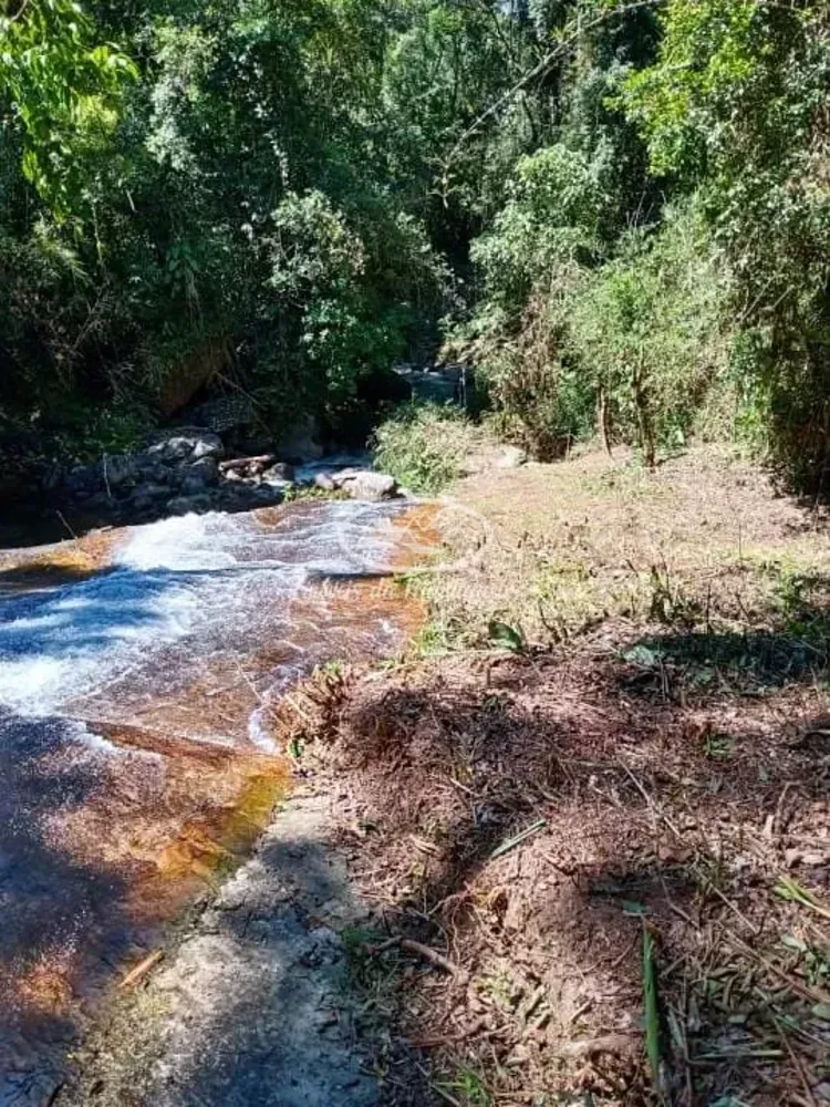 Terreno, 32 hectares - Foto 10