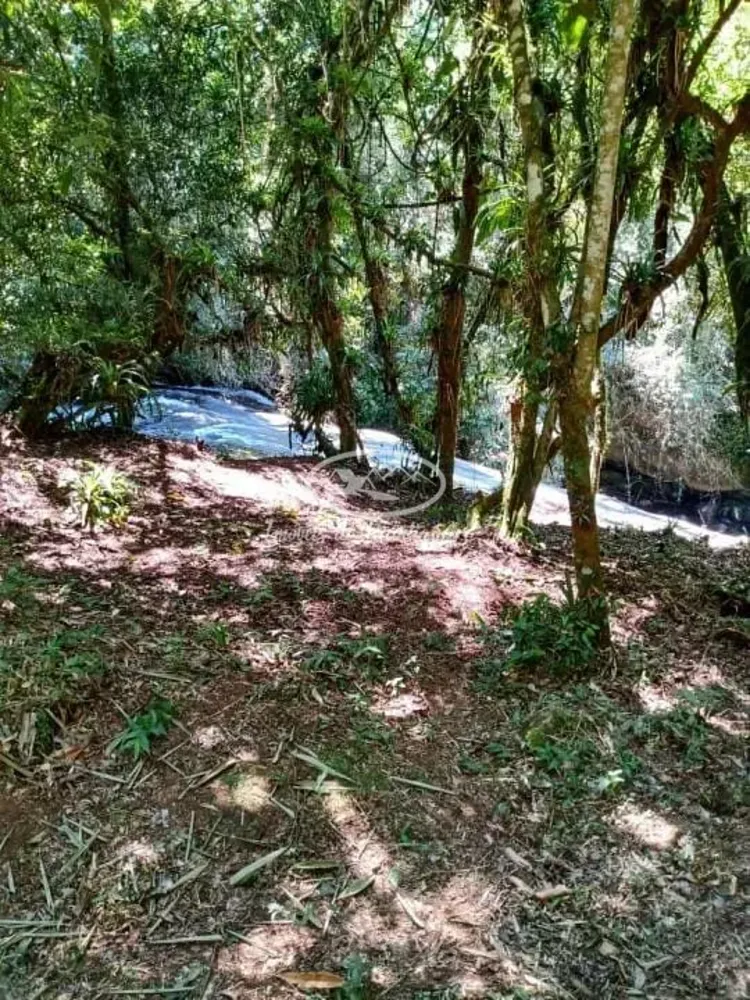 Terreno, 32 hectares - Foto 3