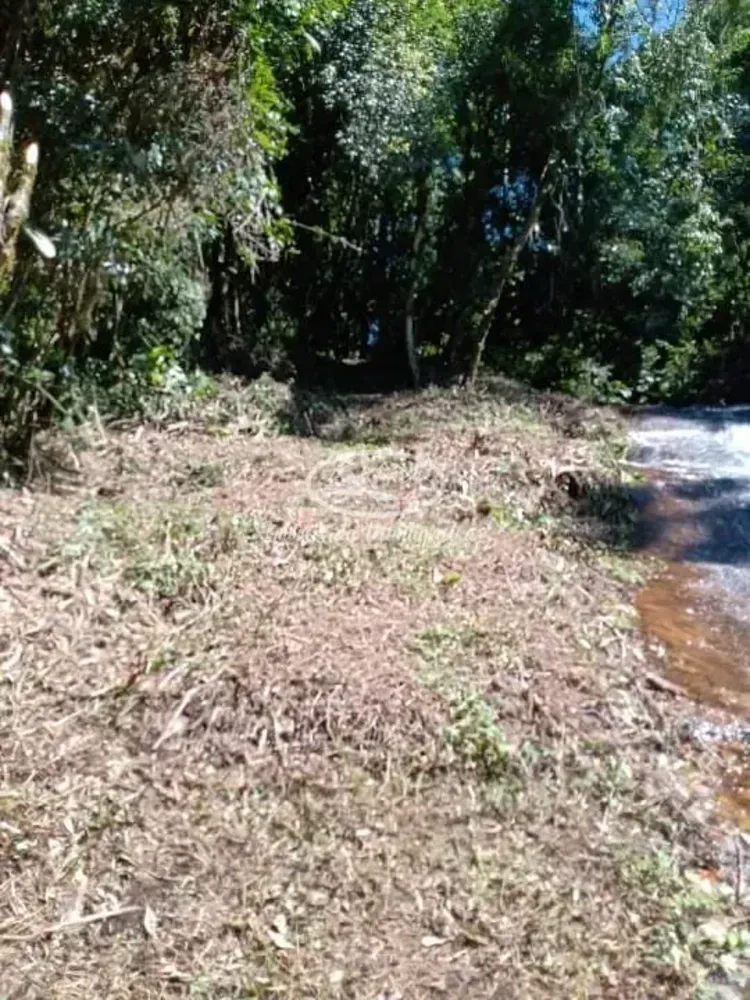 Terreno, 32 hectares - Foto 4