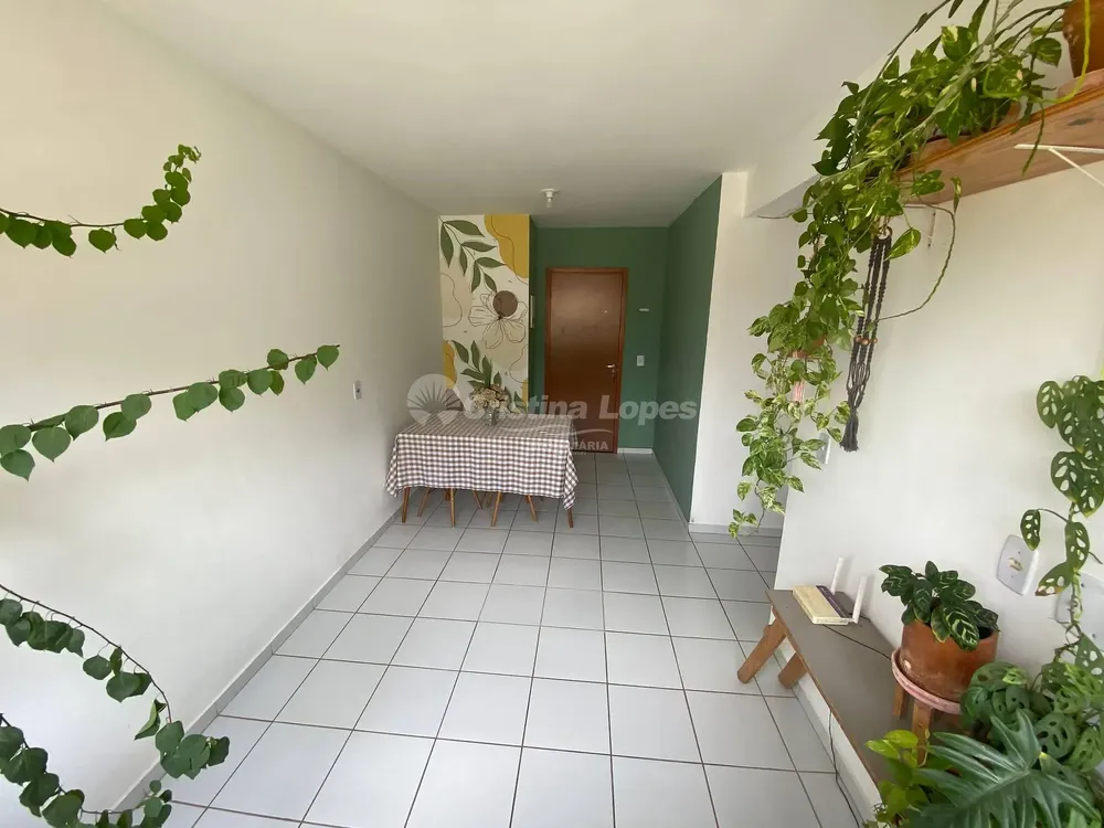 Apartamento, 2 quartos, 48 m² - Foto 2