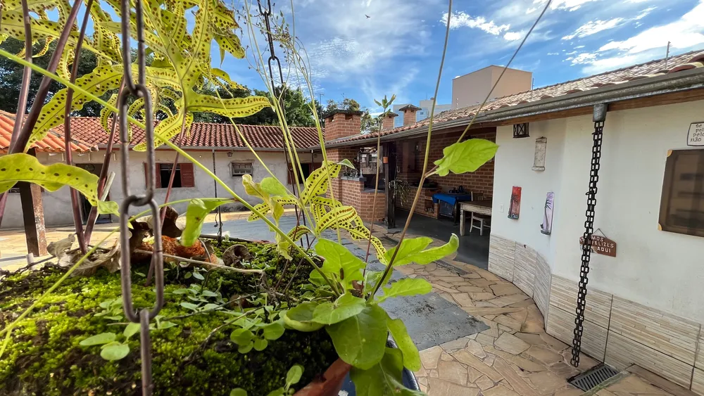 Casa, 3 quartos, 244 m² - Foto 6