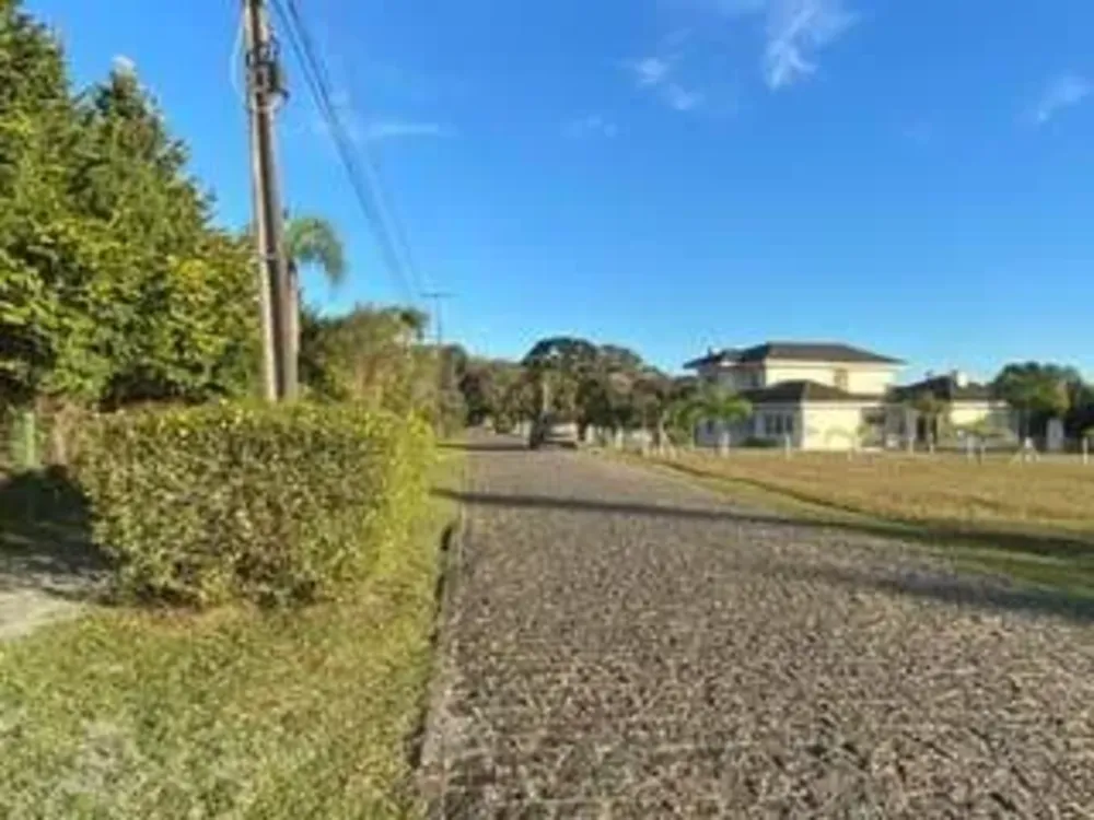 Terreno, 3179 m² - Foto 6