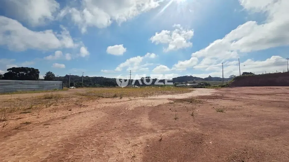 Terreno, 4 hectares - Foto 4