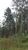 Terreno, 288 hectares - Foto 3