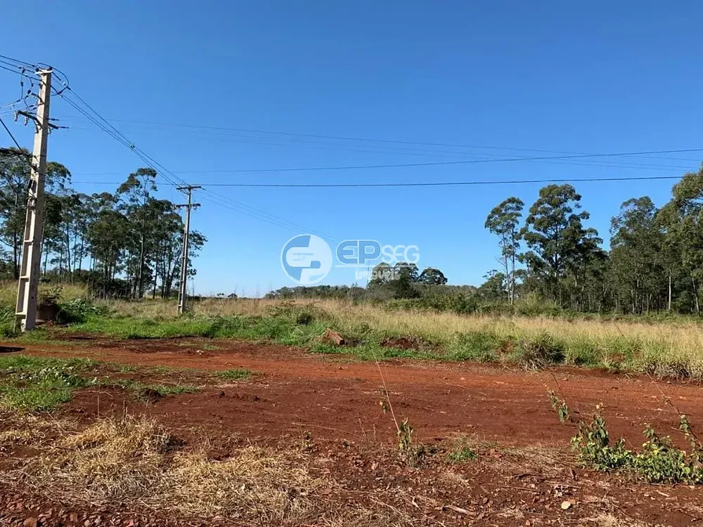 Terreno, 9 hectares - Foto 4