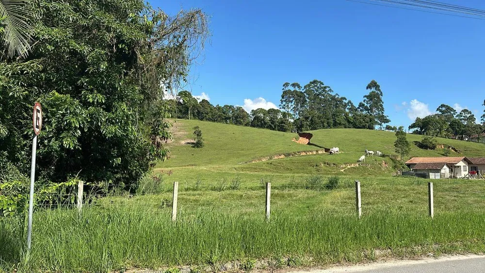 Terreno, 2 hectares - Foto 3